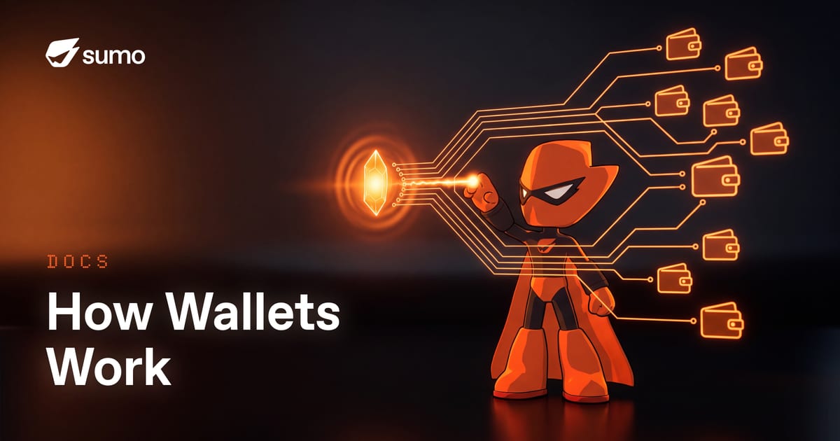 How Wallets Work